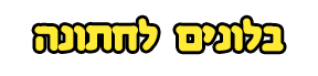 בלונים לחתונה