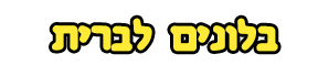 בלונים לברית